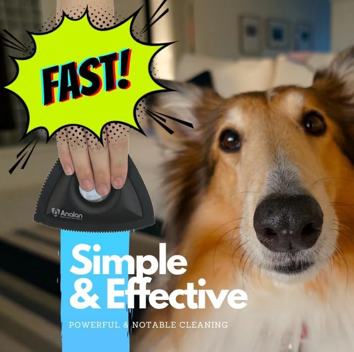 Analan Mini Pet Hair Remover for Car Detailing Supplies, Carpet Dog Hair Remover for Car Interior, Triangle Dog Hair Remover for Auto Detailing, Couch, Furniture, Lint, Carpet(Matte Black) - Image 4